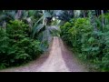 1.67 Acre of land for sale in the Cayo District of Belize.
