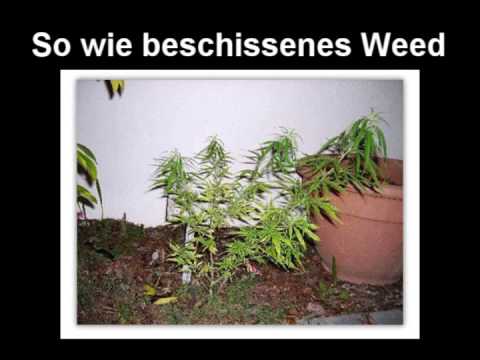 Nikitaman - Einfach nur ein Lied (mit Text)