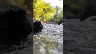 Download lagu story wa suara gemericik air sungai jernih mp3 Download lagu story wa suara gemericik air sungai jernih mp3