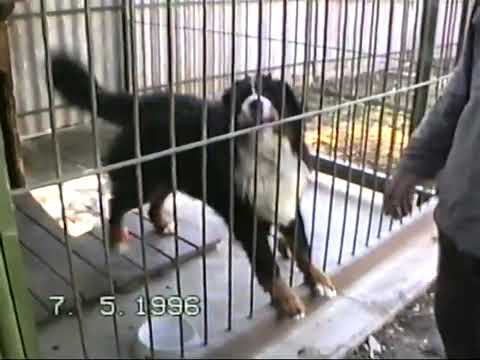 Pňovice pře 30 lety - I.