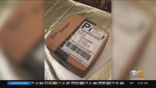 Man Gets Wife Amazon Birthday Cake