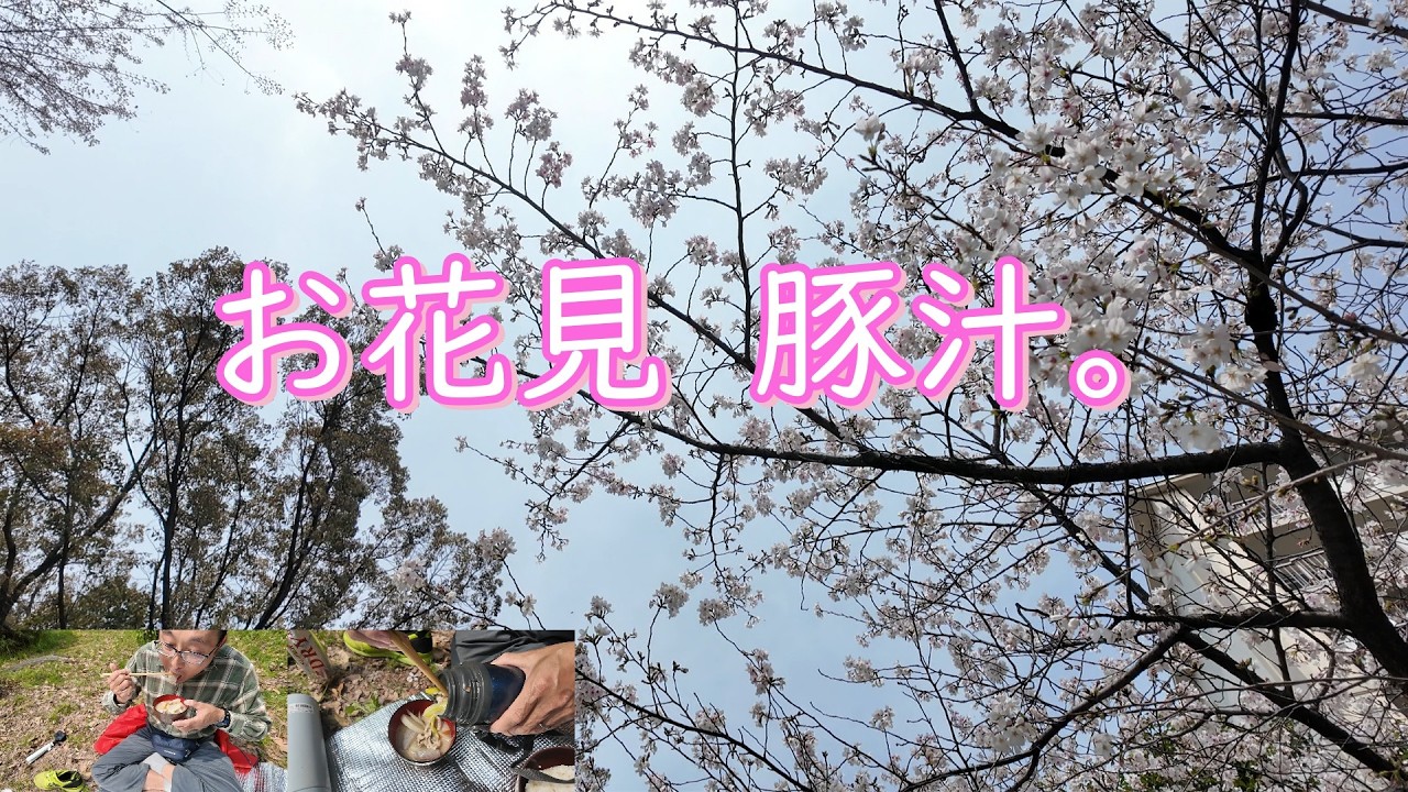 お花見　豚汁。