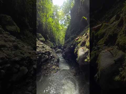 Cañón de los Guacharos, Filadelfia Caldas 📍