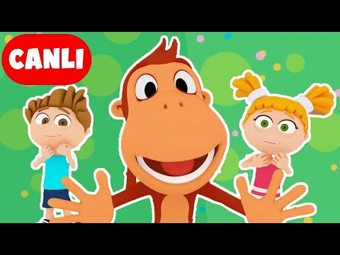 TELEVİZYON ÖZEL: Tüm Bölümler CANLI 🎉 Eğlence, Macera ve Şarkılar Aralıksız! 🐵📺