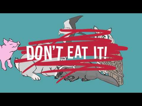 Don't Eat It - from The Doorpost Songs: This Is Love