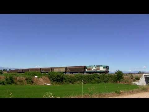 D445.1015 con tradotta da Romagnano Sesia.