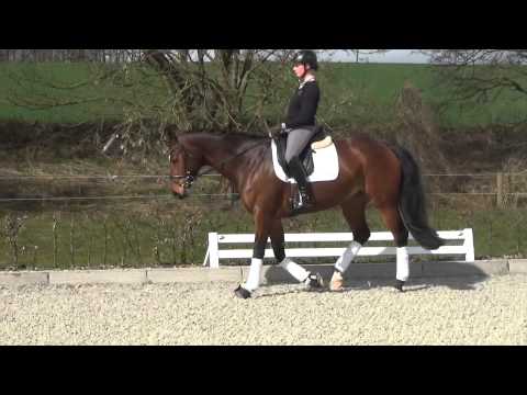 3. ET Sale Lilli Malene v. Lissaro van de Helle - Mont du Cantal AA. geb. 2011