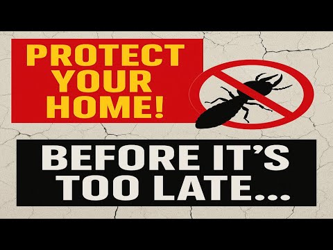 How to Protect Your Home from Termites | Early Signs, Treatment & Prevention Tips
