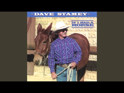 If I Had A Horse video