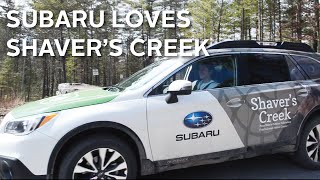 preview picture of video 'Subaru Loves Shaver's Creek — A Raptor-tastic Car Wrap!'