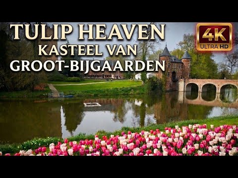 Come Walk With Me Through Millions of Tulips 🌷 Groot-Bijgaarden Castle in Bloom 4K