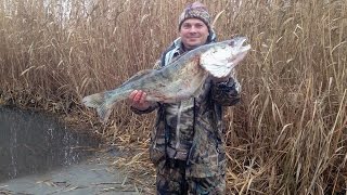 Где лучшая рыбалка в казахстане