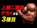 【筋トレ】上腕二頭筋を大きくする 3つの種目 | 現役ボデビルダーが解説【ビーレジェンド プロテイン】