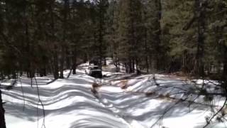 preview picture of video 'Woodland Park, Colorado Snow Wheeling'