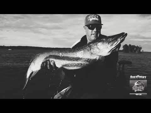 Pike Fight - Training Day 1 - Söder Sportfiske