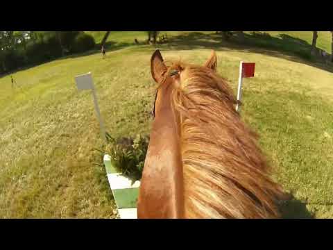 CCI4*S Nations Cup at Haras du Pin 2022 | Andrew Hoy & Vassily de Lassos