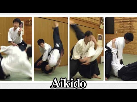 Aikido Throwing to each other