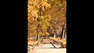 Video Autumn tale