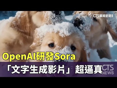 OpenAI研發Sora　「文字生成影片」超逼真