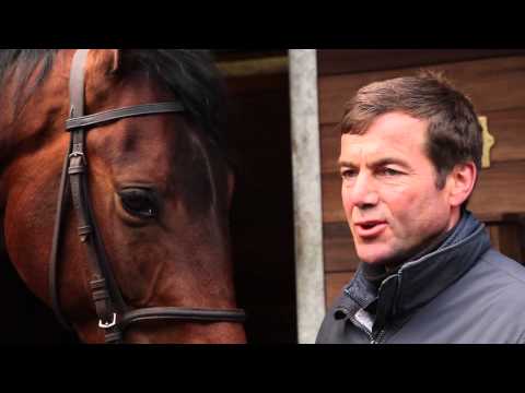 Galopper im Profil - Zu Gast bei Peter Schiergen Teil 1