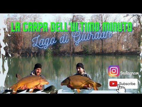 Carpfishing 2023 - La carpa dell'ultimo minuto