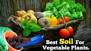 Best Soil Mix For Vegetable Plants In Pots - Potting Soil for Vegetable Garden - The Small Story