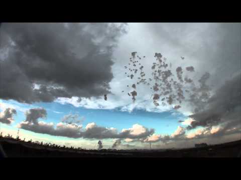 Adelfia 2013 San Trifone - F.lli Toscano