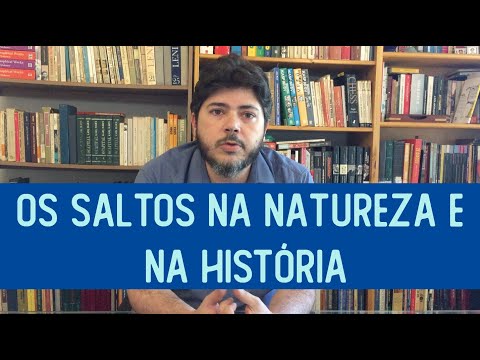 Os 'saltos' na natureza e na história - Plekhanov #8