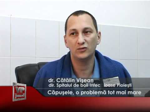 Căpușele, o problemă tot mai mare