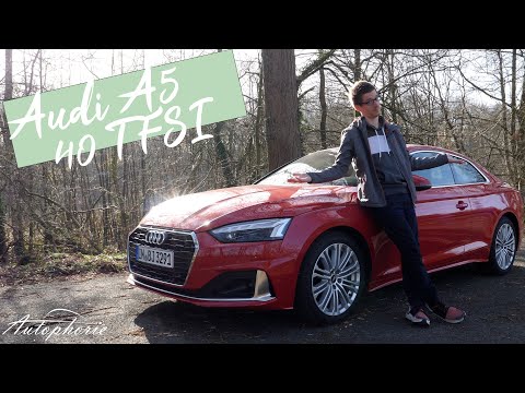 Vier Jahreszeiten im Audi A5 Coupé advanced 40 TFSI quattro S tronic (204 PS) [4K] - Autophorie