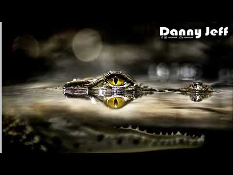 Kryder & Discopolis - Falling Crocodile Tears (Danny Jeff Mashup)
