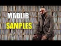Madlib Hip Hop Productions And His Samples