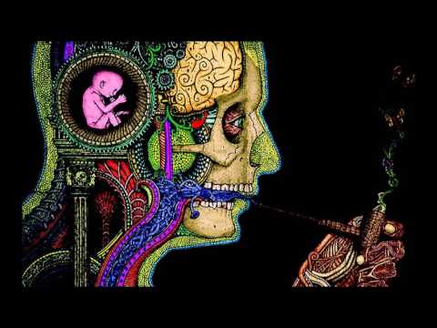 Progressive Psytrance Mix 2016 (Welcome to my Mind) by Psydrop