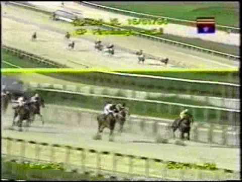 Romarin - GP Piratininga