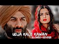 Udja Kale Kawan ( slowed+reverb) | Gadar 2 | sunny deol | lofi