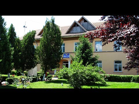 Potcoava, oras de 10 ani