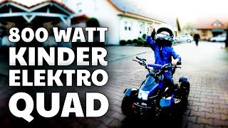 Elektroquad für Kinder | 800 Watt | Cobra