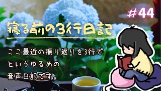 寝る前の3行日記　youtubeで44回目(๑•᎑•๑)