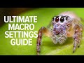 The BEST Camera Settings for Macro Photography