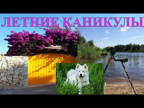 ЛЕТНИЙ ОТДЫХ ! ЖАРКИЙ ЛЕТНИЙ ДЕНЬ ! Прогулка с Орком по цветущим полям !