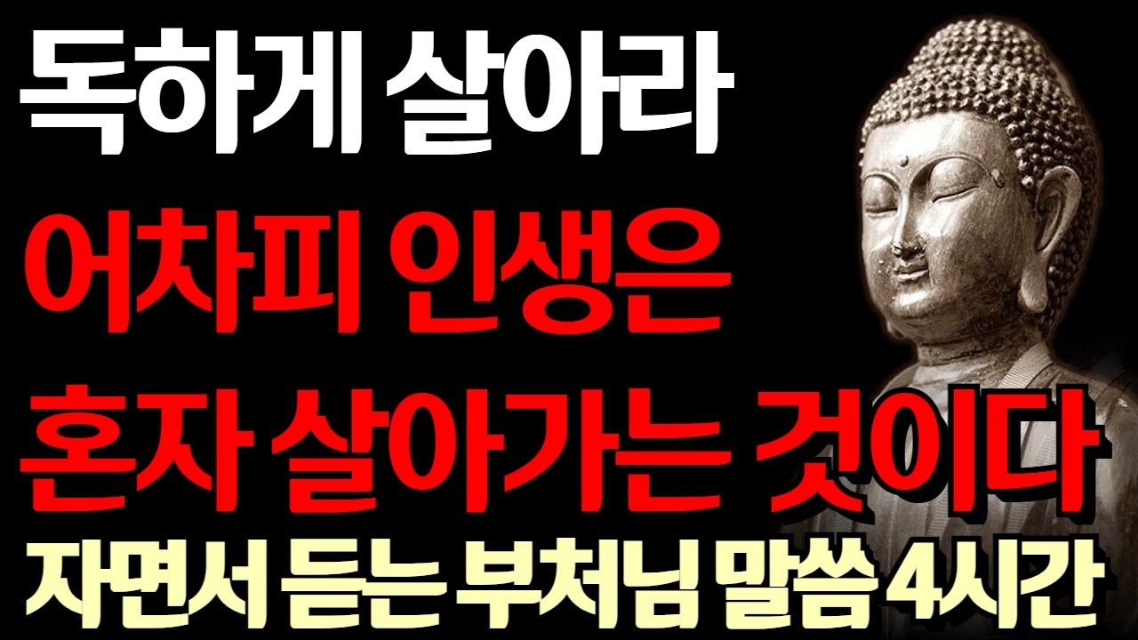 나이가 들수록 혼자가 되어야 하는 이유 I 인생 독하게 살아라 어차리 인생은 혼자다 I 인색하게 살아라 I 자면서 듣는 부처님 말씀 4시간 l 지혜 I 오디오북 I 철학