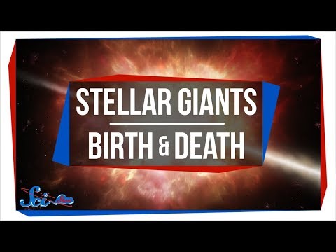 巨人の星はルールを守らない｜サイゾーウーマンニュース (Giant Stars Don't Follow the Rules | SciShow News)