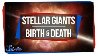 Giant Stars Don't Follow the Rules | SciShow News