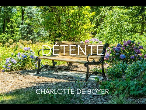 Sophrology: deep relaxation to unwind, anti-stress, anxiety, pain