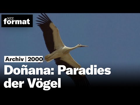 , title : 'Doñana: Paradies der Vögel | Nationalparks in Europa (1) - Doku von NZZ Format (2000)'
