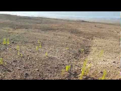 Diga di Riotorto in secca 20-08-2012