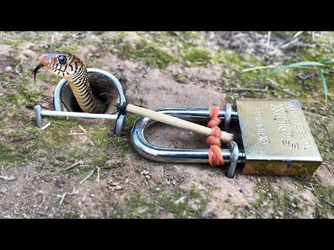 Easy Snake Trap - DIY Snake Trap Using a lock That Work 100%