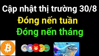 Phân tích bitcoin altcoin hôm nay ngày 30/8 cập nhật thị trường crypto mới nhất hôm nay