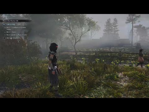 Assassin's Creed Shadows FOG TEST