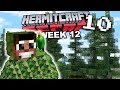Hermitcraft RECAP - Season 10 Week 12